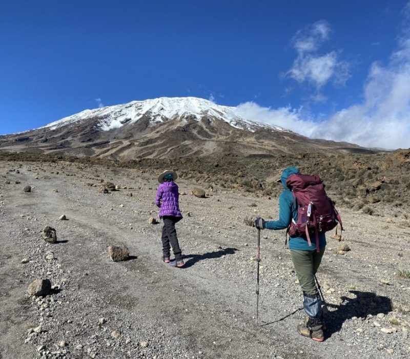 Kilimanjaro Trek lemosho