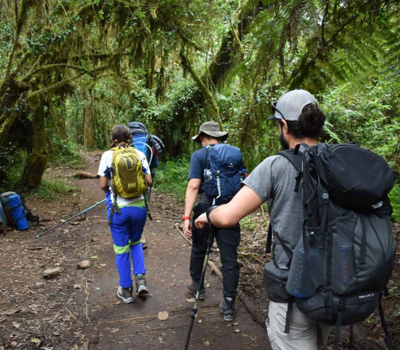 Machame Trekking Route