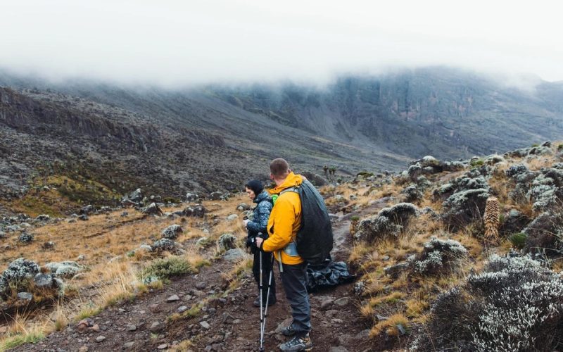 Marangu trekking