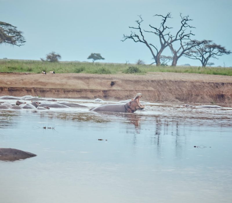 Nerere national park