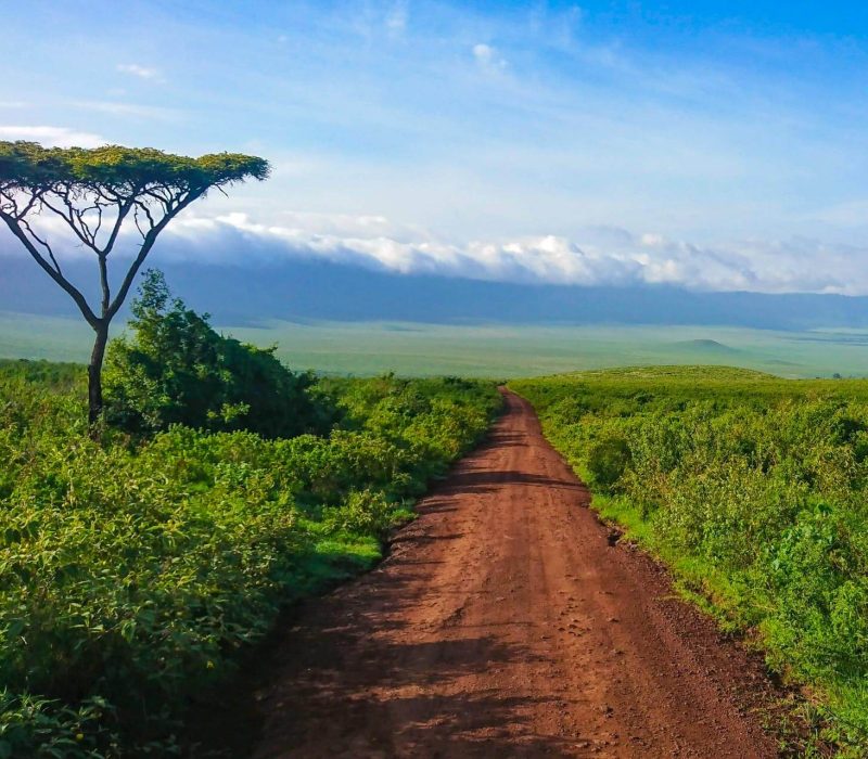 Ngorongoro Crater Safari
