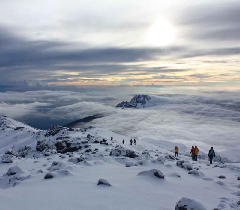 Rongai Trekking