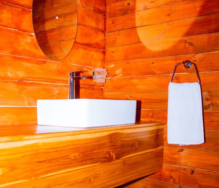 bathroom copy