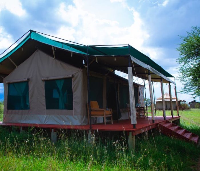 camps copy