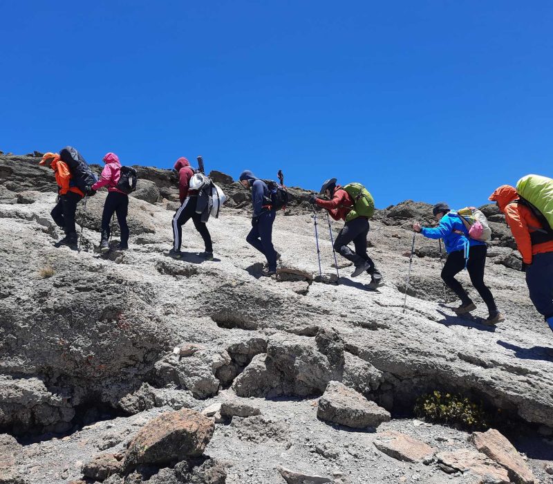 lemosho route
