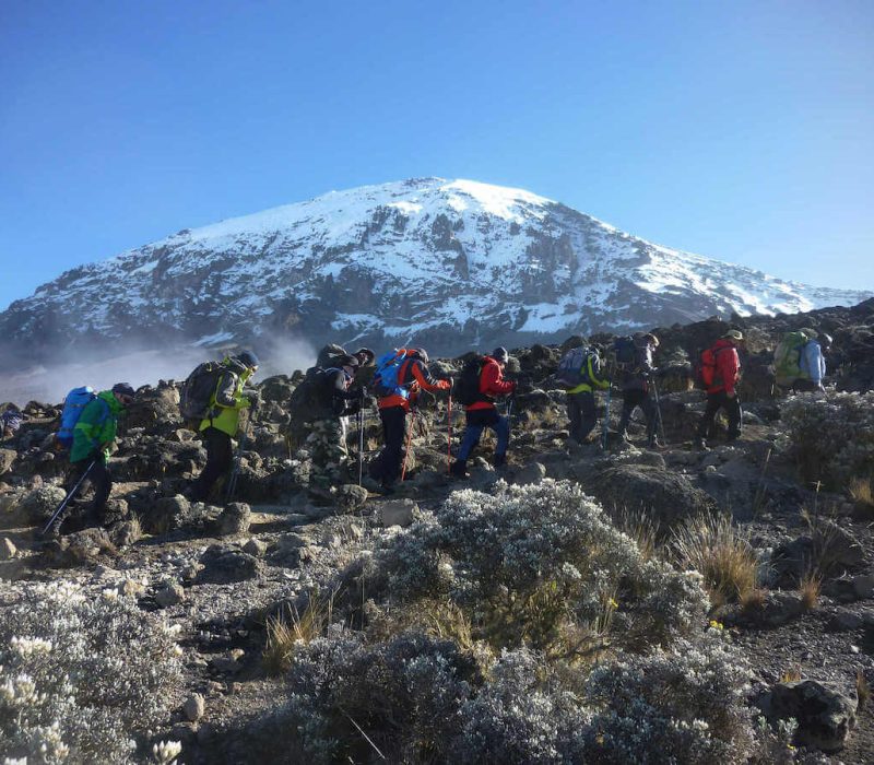 rongai kilimanjaro