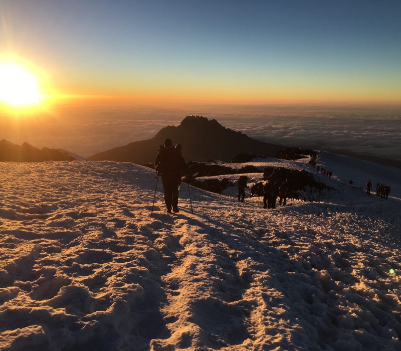 rongai route kilimanjaro
