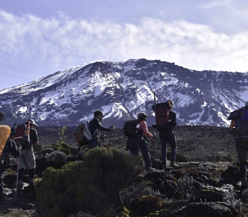 shira trekking